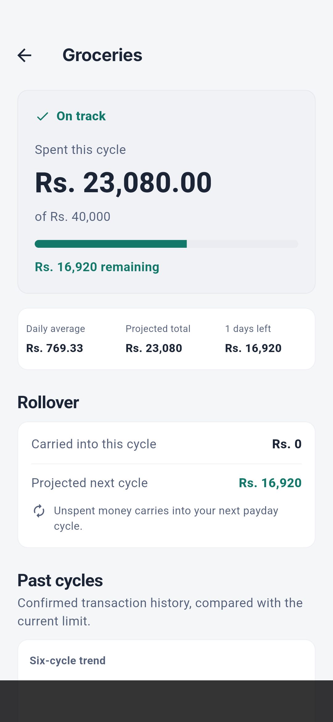 Salli budget detail with limit, pace, projection, rollover, history, and transaction evidence